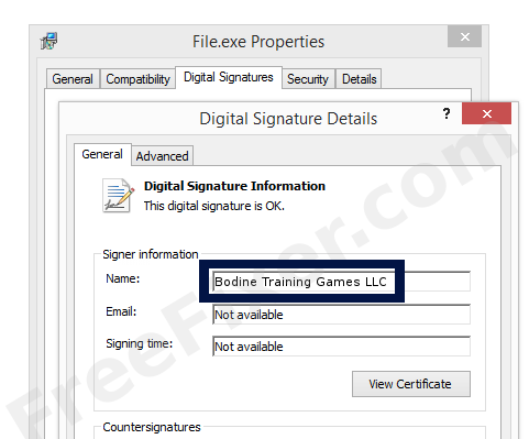 Screenshot of the Bodine Training Games LLC certificate